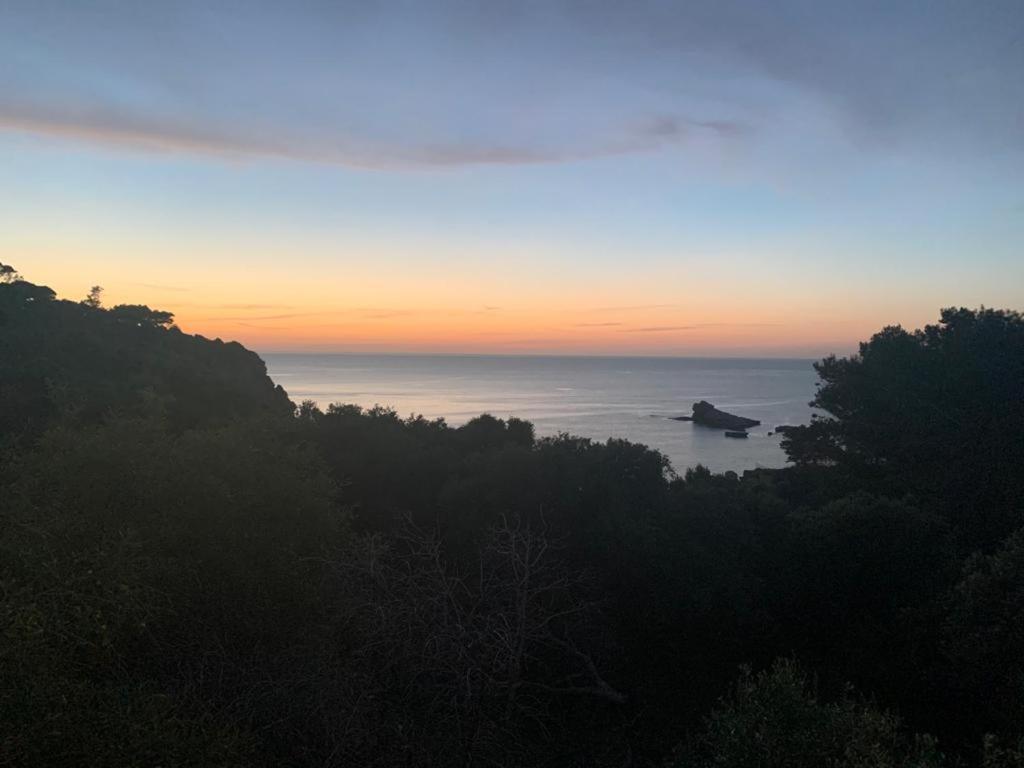 Le Case Vacanze Di Federico テッラジーニ エクステリア 写真